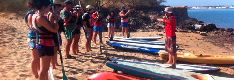 Grupo pasea en Paddle surf en Isla canela y Punta del Moral. Huelva con Kanela Sailing School