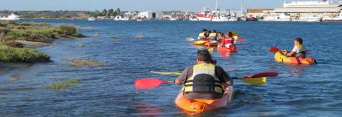 Travesía en kayak por el Guadiana, Ayamonte, Huelva. Con Kanela Sailing School