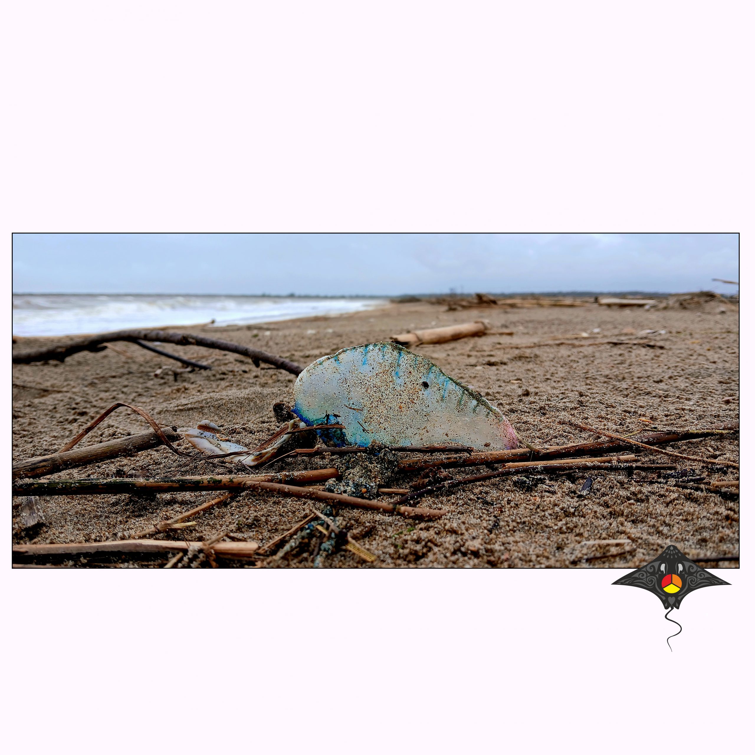 Carabela Portuguesa 1